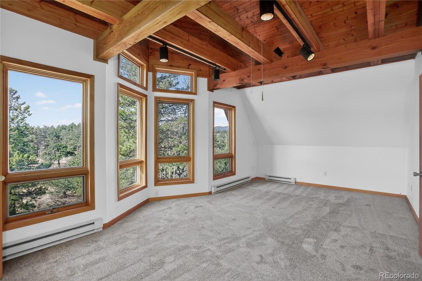 MLS Image #38 for 4030  ridge road,nederland, Colorado