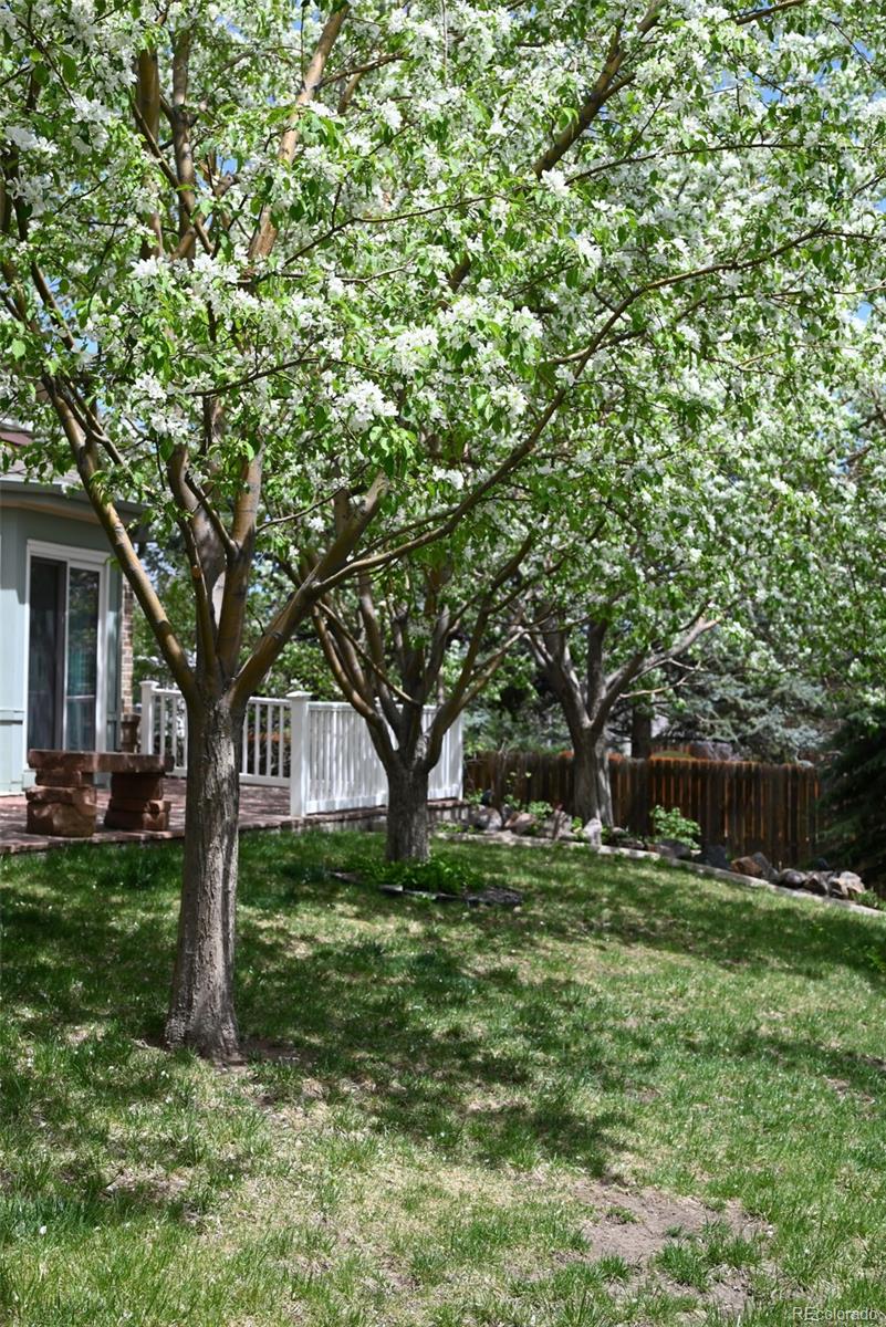 MLS Image #27 for 16876 w 67th circle,arvada, Colorado