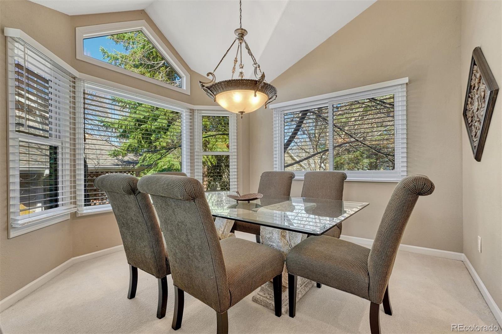 MLS Image #6 for 10084  armadillo drive,lone tree, Colorado