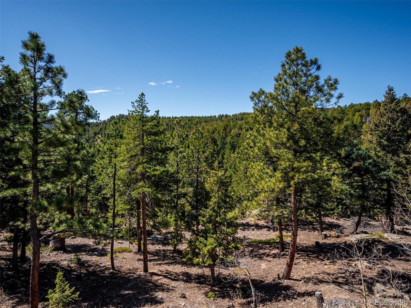 MLS Image #30 for 8727 s fairall road,morrison, Colorado