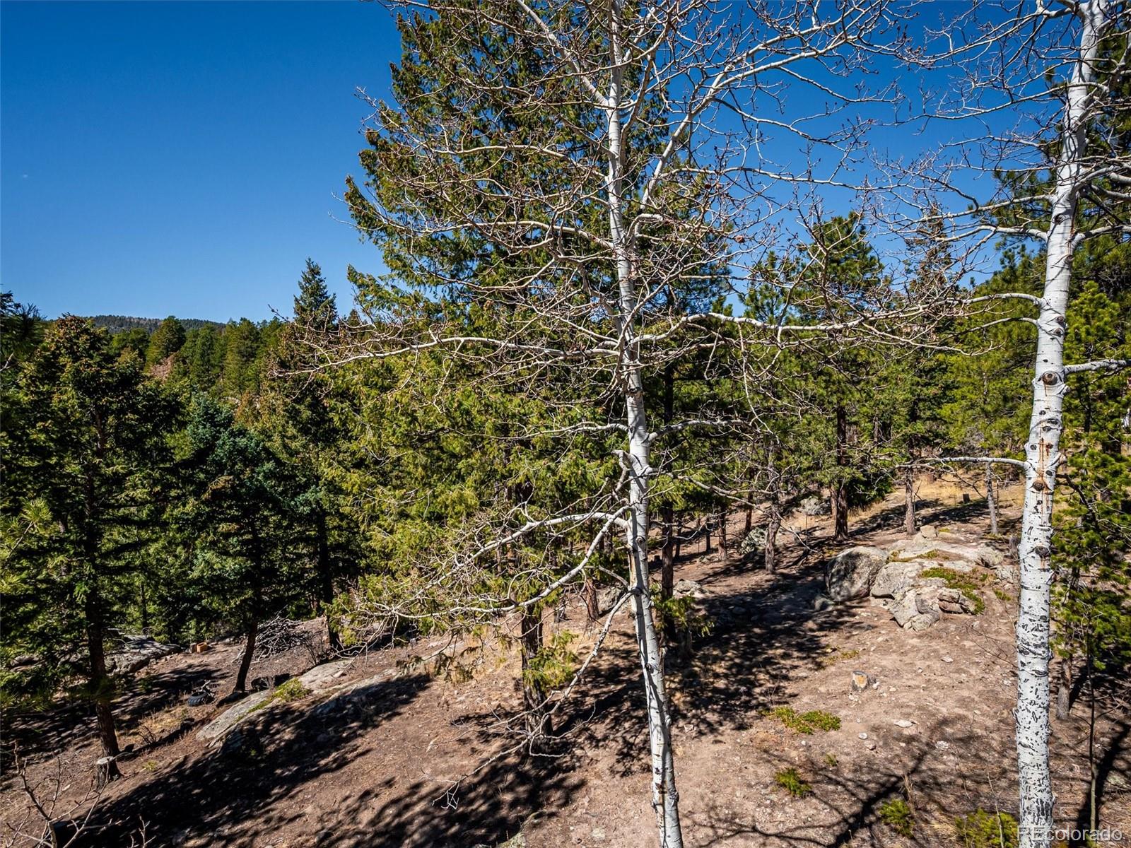 MLS Image #31 for 8727 s fairall road,morrison, Colorado