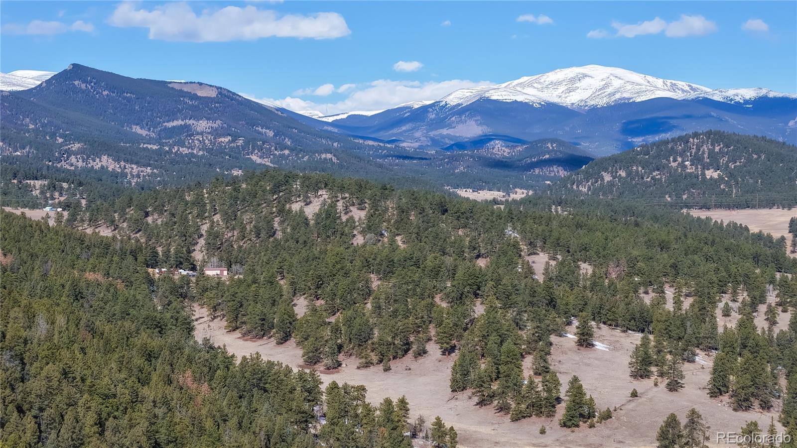 MLS Image #8 for 195  doe circle,bailey, Colorado