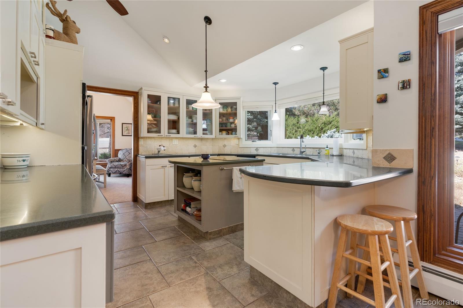 MLS Image #4 for 5  porcupine lane,littleton, Colorado