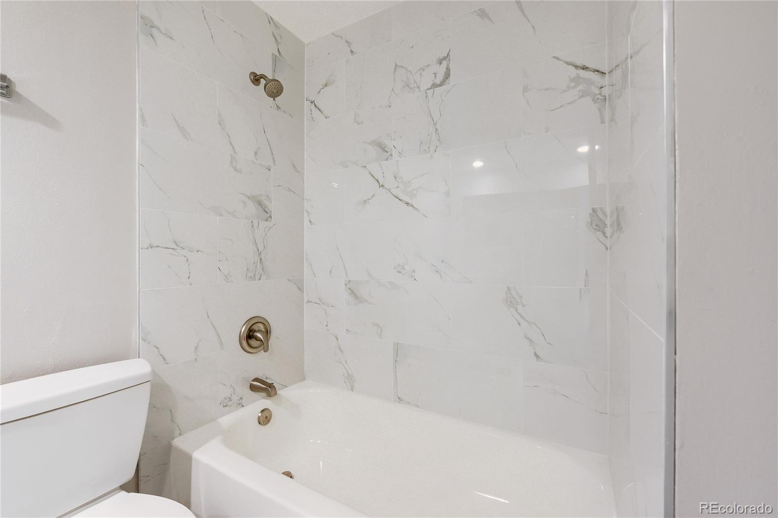 MLS Image #20 for 7467 s albion street,centennial, Colorado