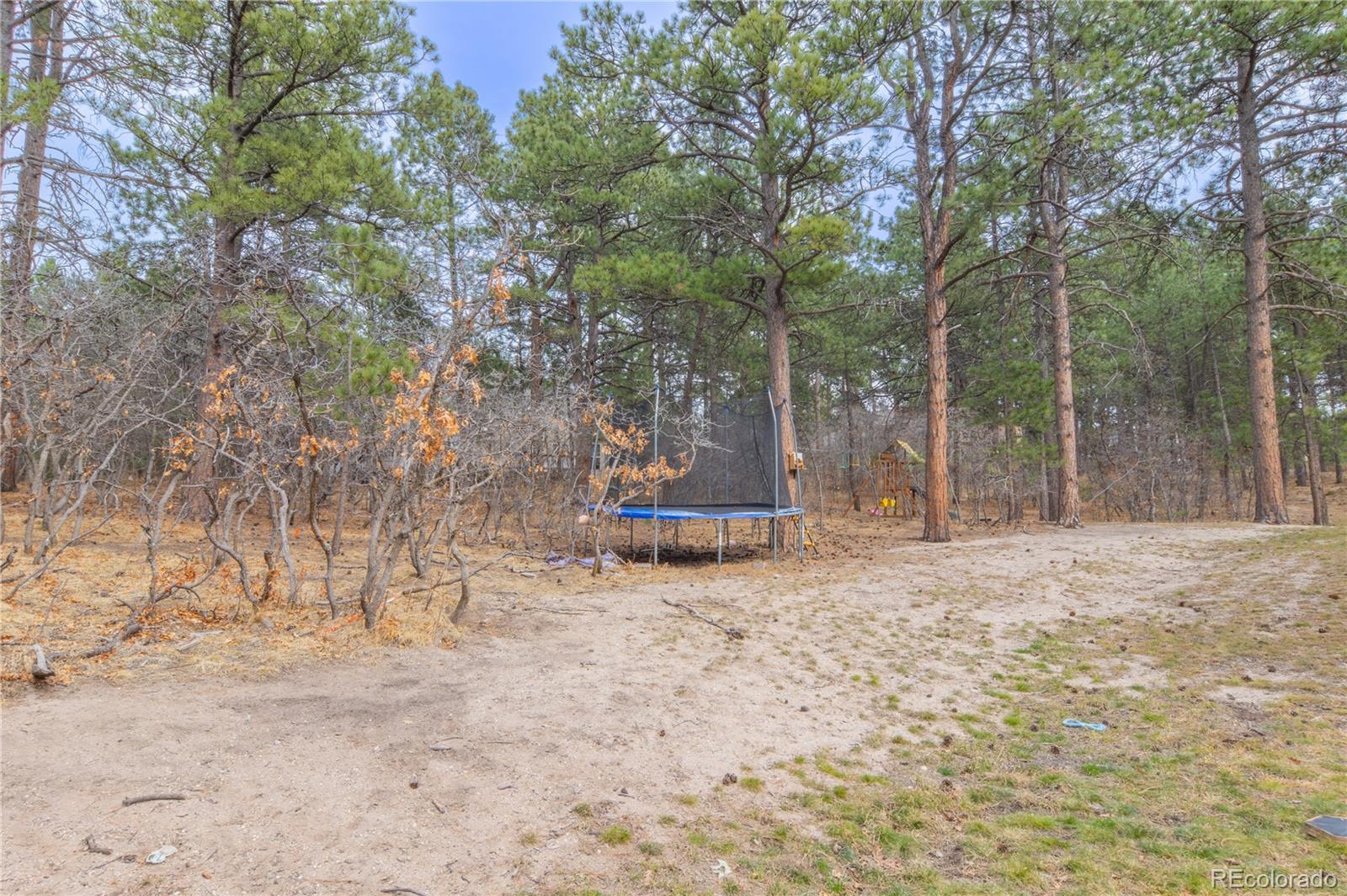 MLS Image #46 for 19795  sleepy hollow road,monument, Colorado