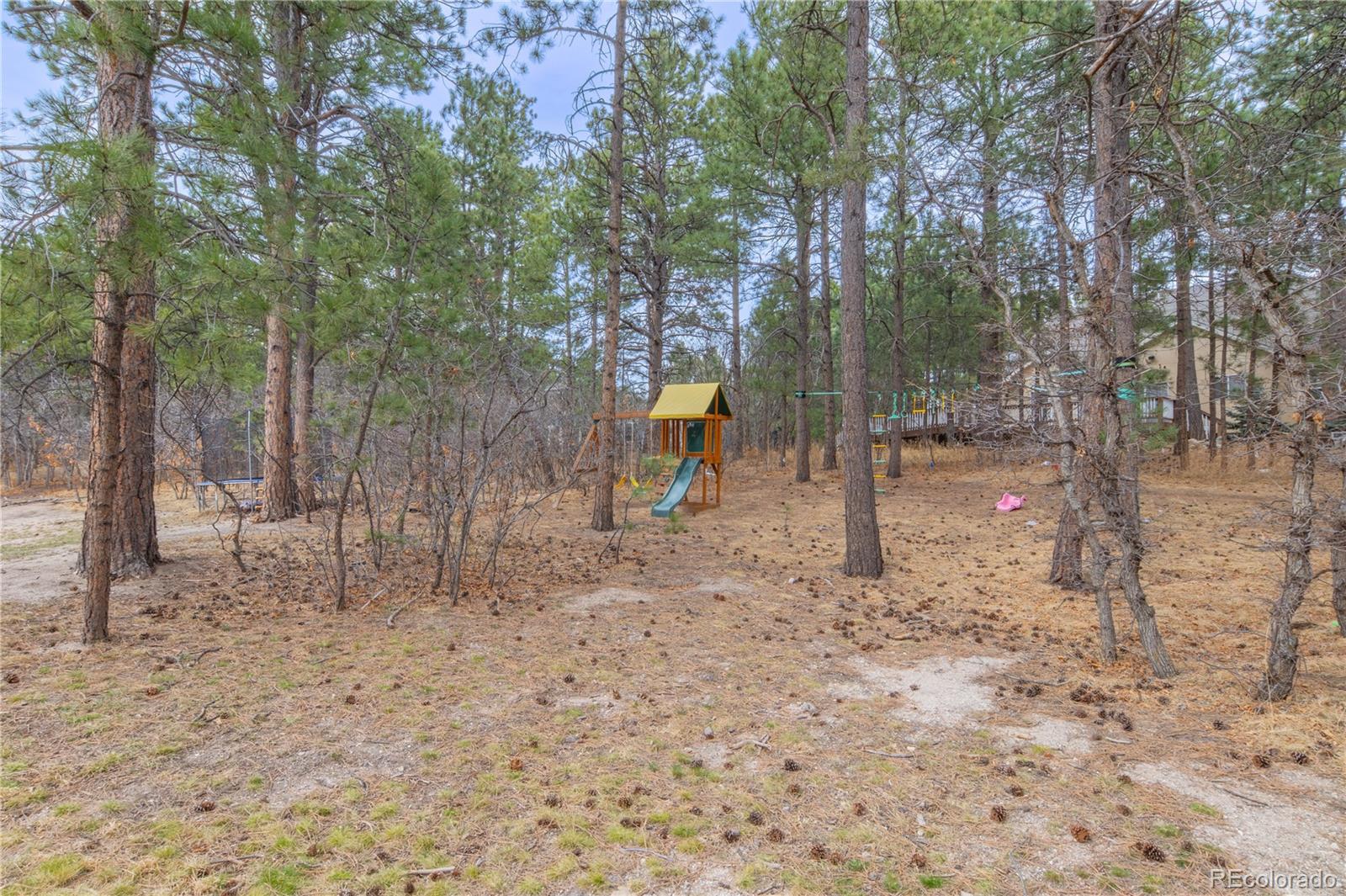 MLS Image #47 for 19795  sleepy hollow road,monument, Colorado