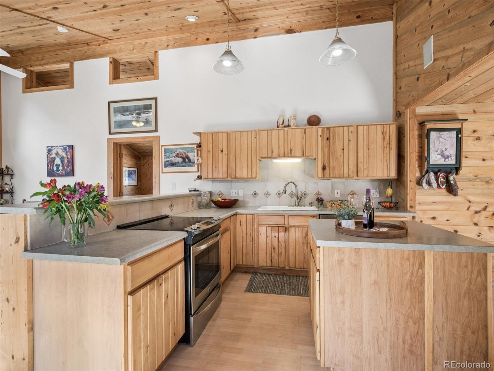 MLS Image #18 for 13623 s wamblee valley road,conifer, Colorado