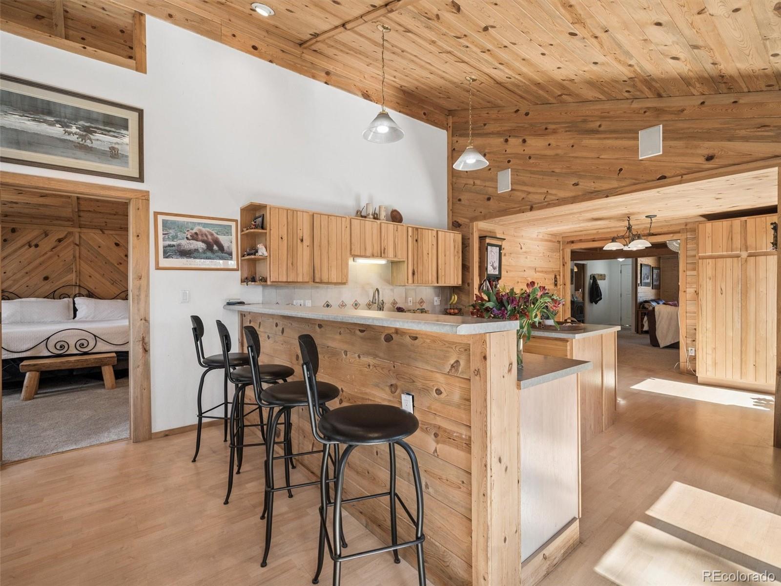 MLS Image #20 for 13623 s wamblee valley road,conifer, Colorado