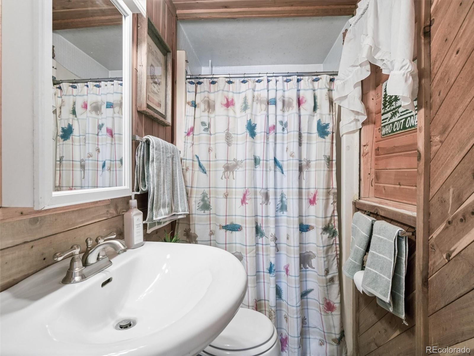 MLS Image #26 for 13623 s wamblee valley road,conifer, Colorado