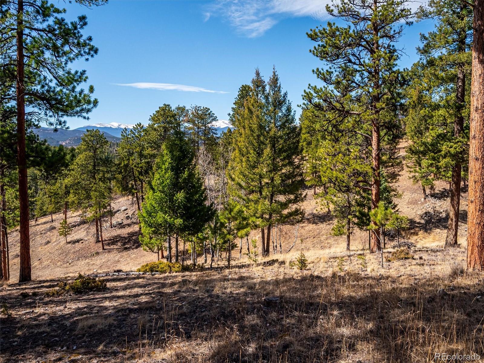 MLS Image #4 for 13623 s wamblee valley road,conifer, Colorado