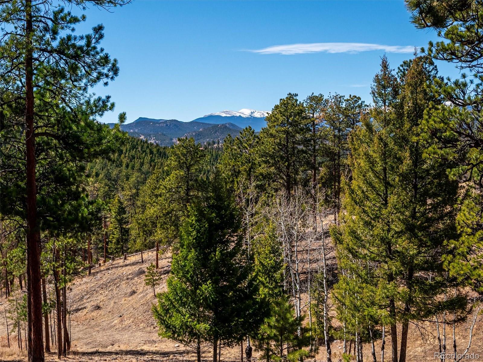 MLS Image #9 for 13623 s wamblee valley road,conifer, Colorado