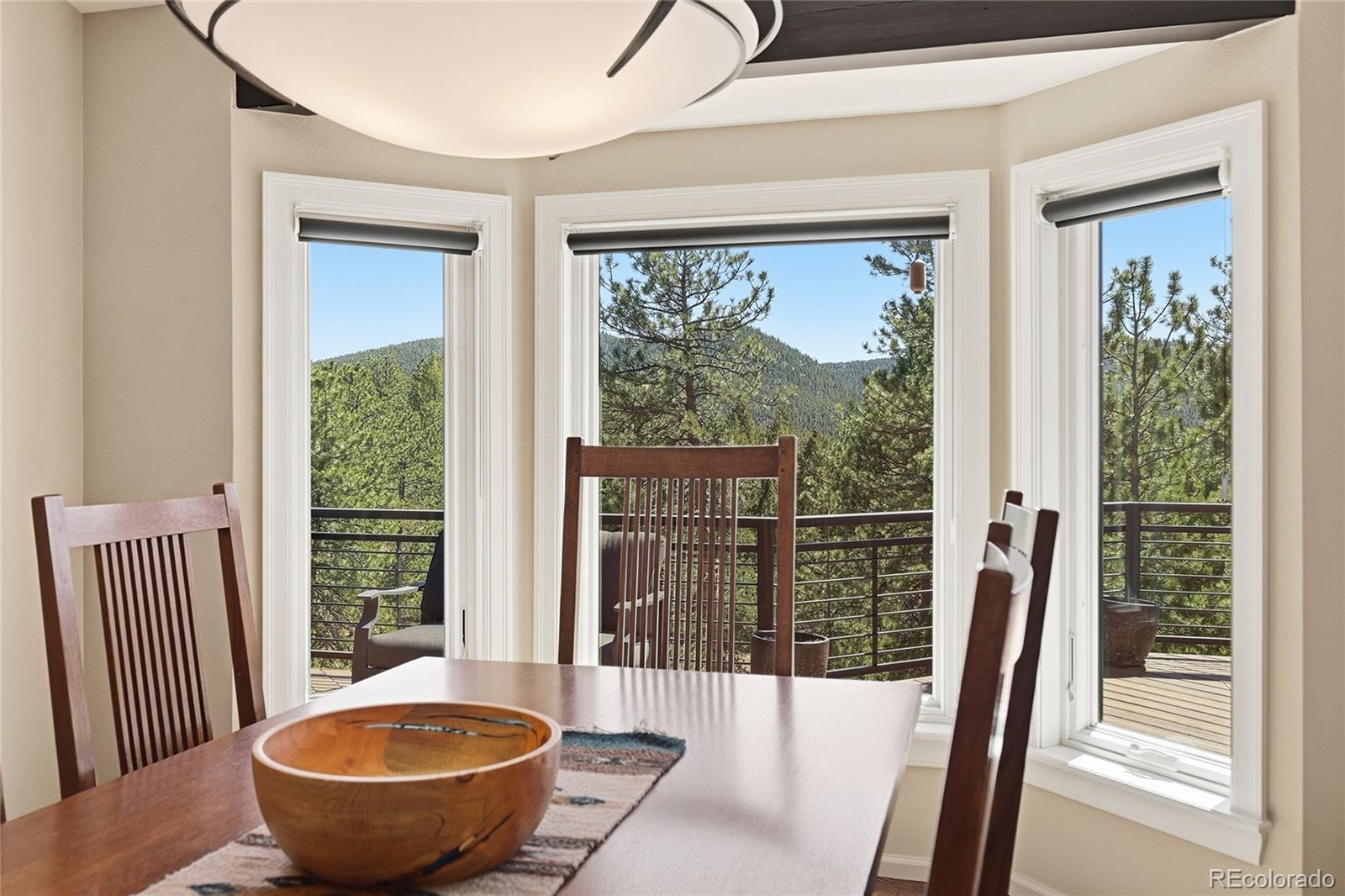 MLS Image #11 for 226  bear drive,evergreen, Colorado