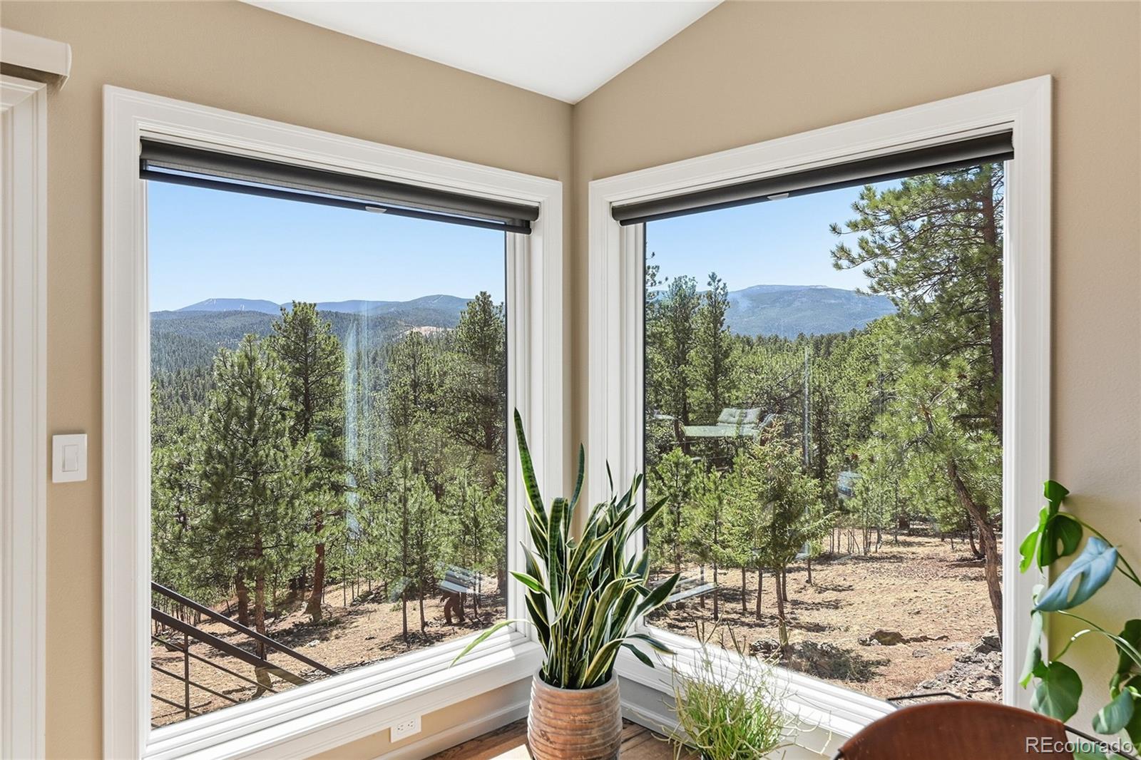 MLS Image #15 for 226  bear drive,evergreen, Colorado