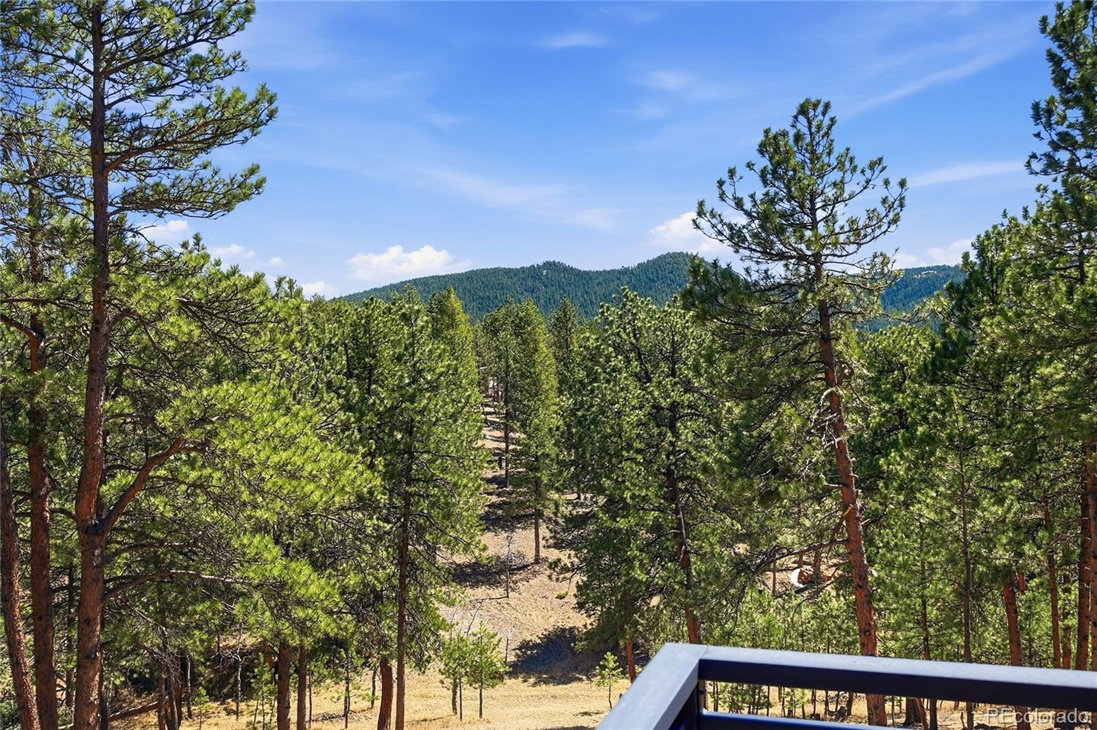 MLS Image #22 for 226  bear drive,evergreen, Colorado