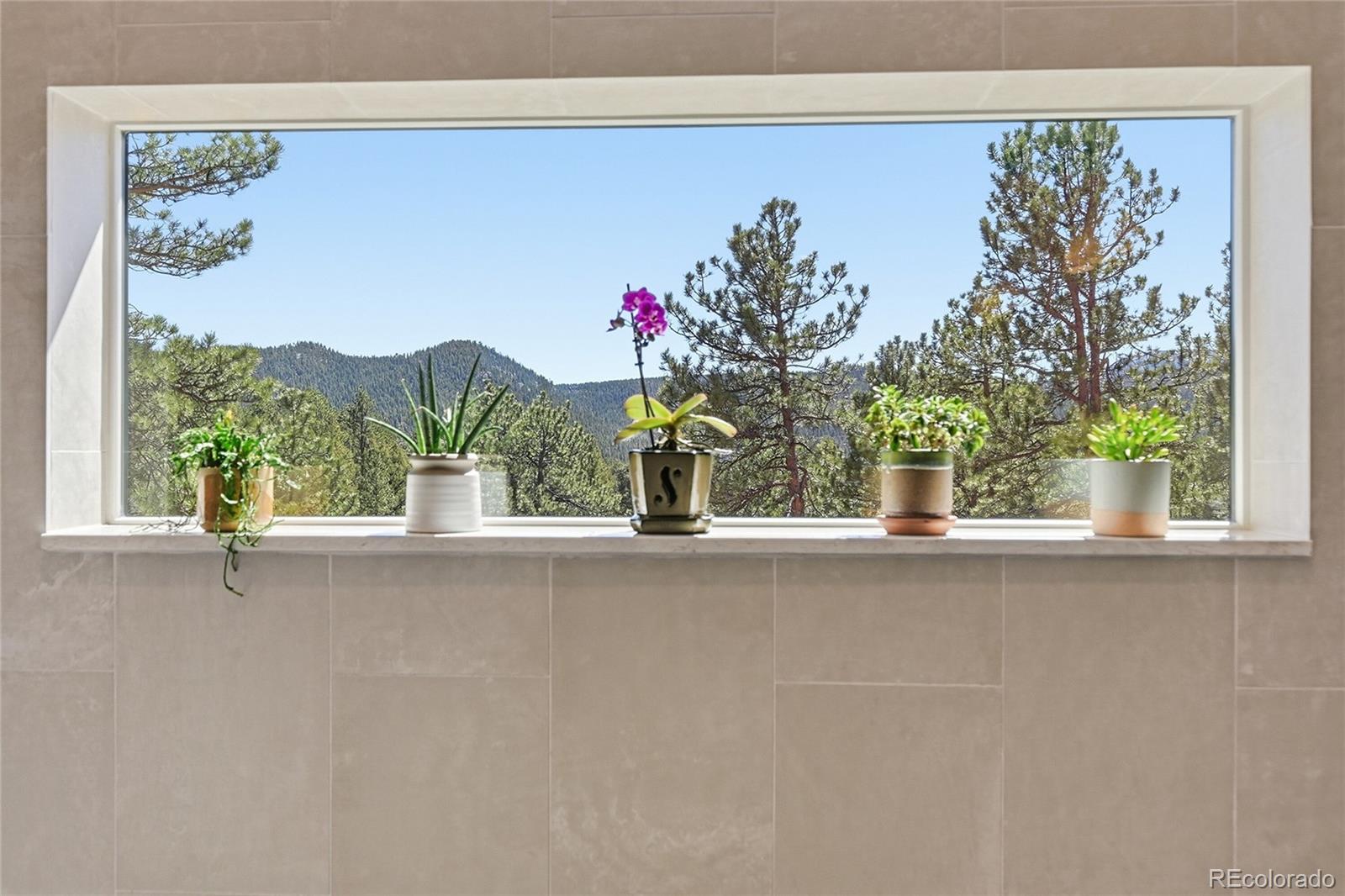 MLS Image #25 for 226  bear drive,evergreen, Colorado