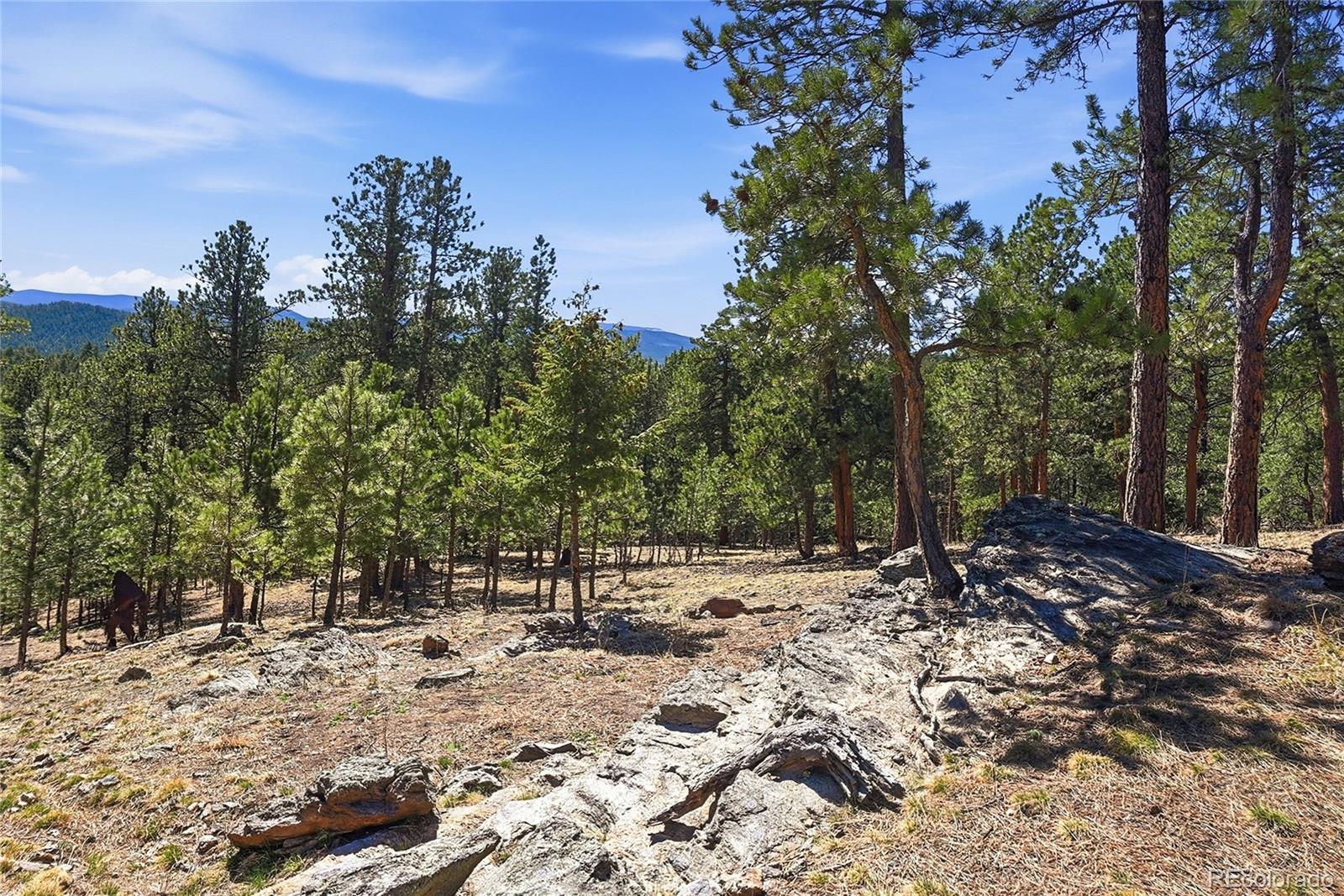 MLS Image #45 for 226  bear drive,evergreen, Colorado