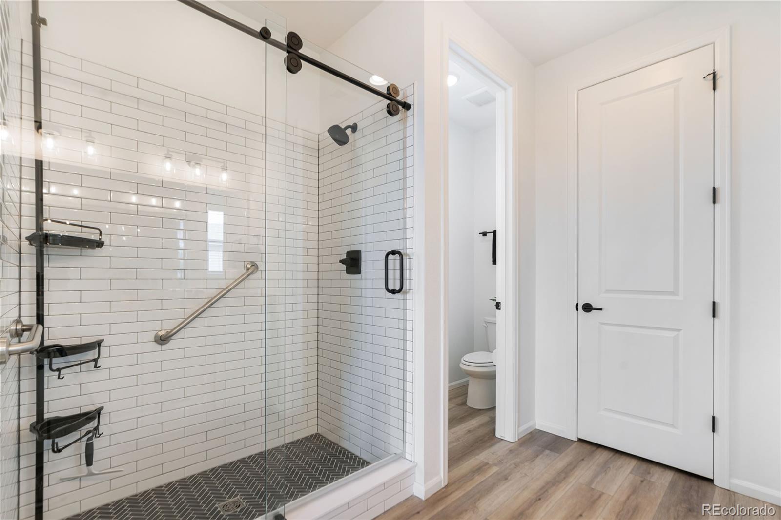 MLS Image #20 for 4020  castle vista lane,castle rock, Colorado
