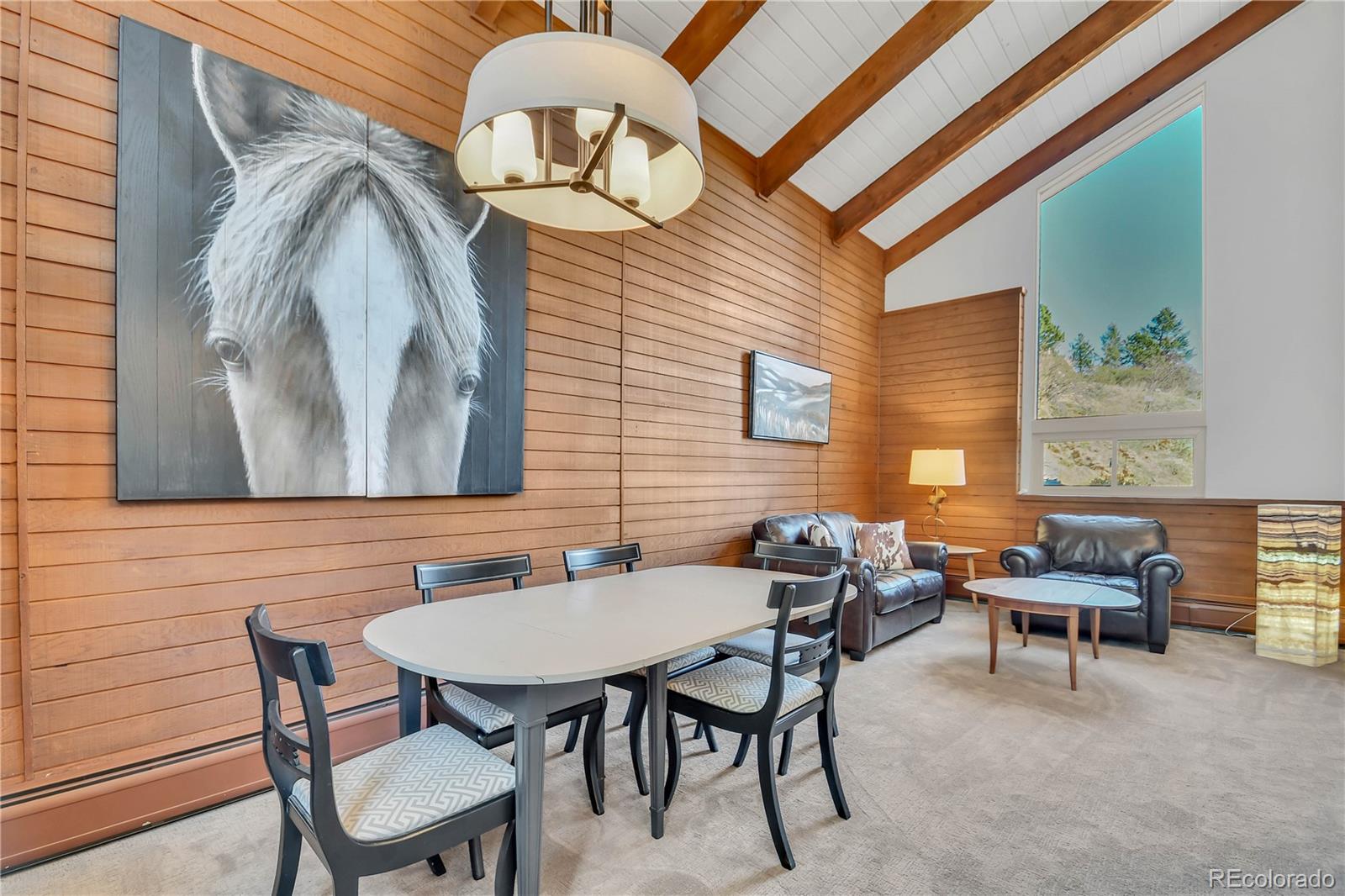 MLS Image #10 for 30334  roan drive,evergreen, Colorado