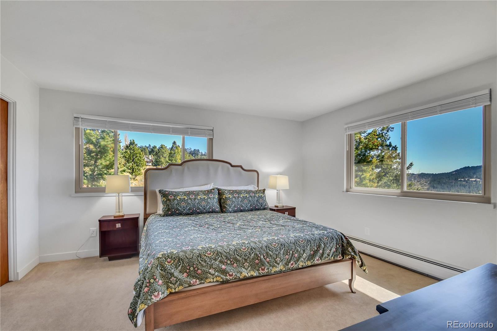 MLS Image #30 for 30334  roan drive,evergreen, Colorado