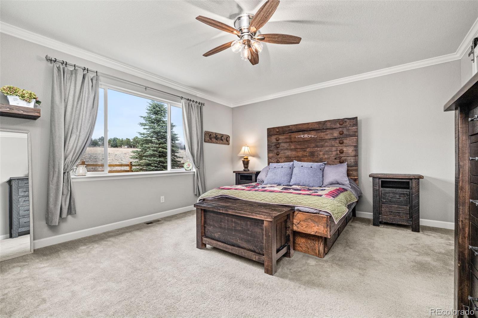 MLS Image #20 for 6749  mentha drive,castle rock, Colorado