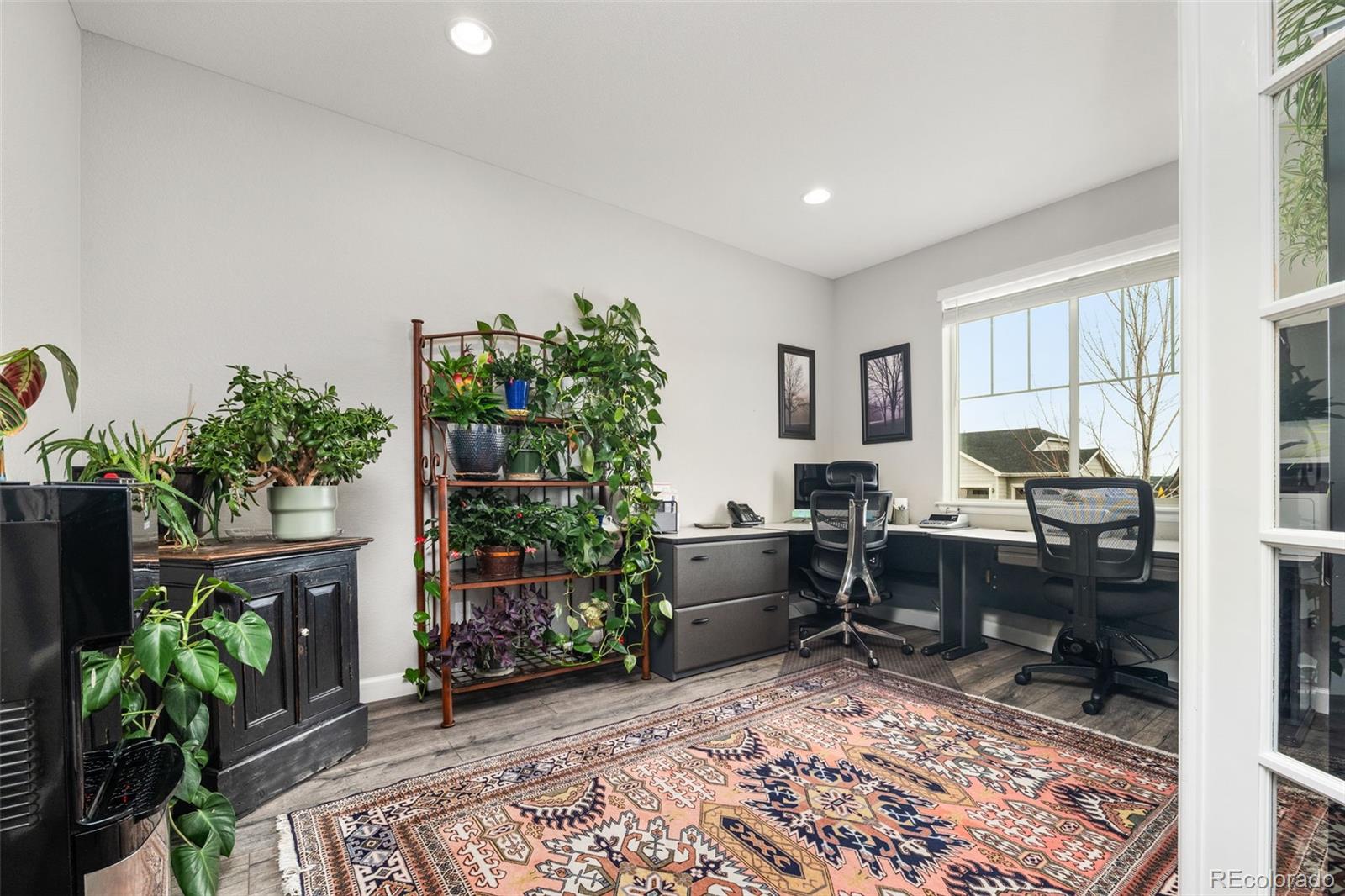 MLS Image #4 for 6749  mentha drive,castle rock, Colorado
