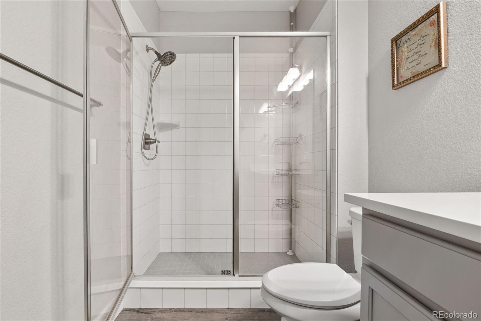 MLS Image #44 for 6749  mentha drive,castle rock, Colorado