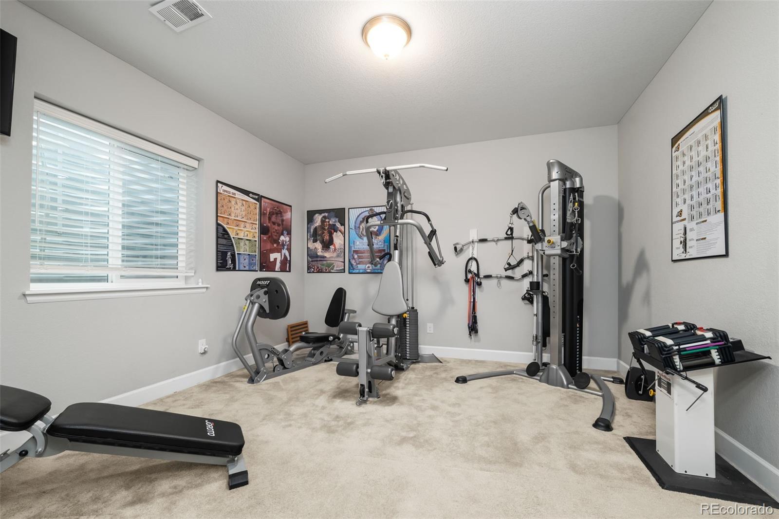 MLS Image #45 for 6749  mentha drive,castle rock, Colorado