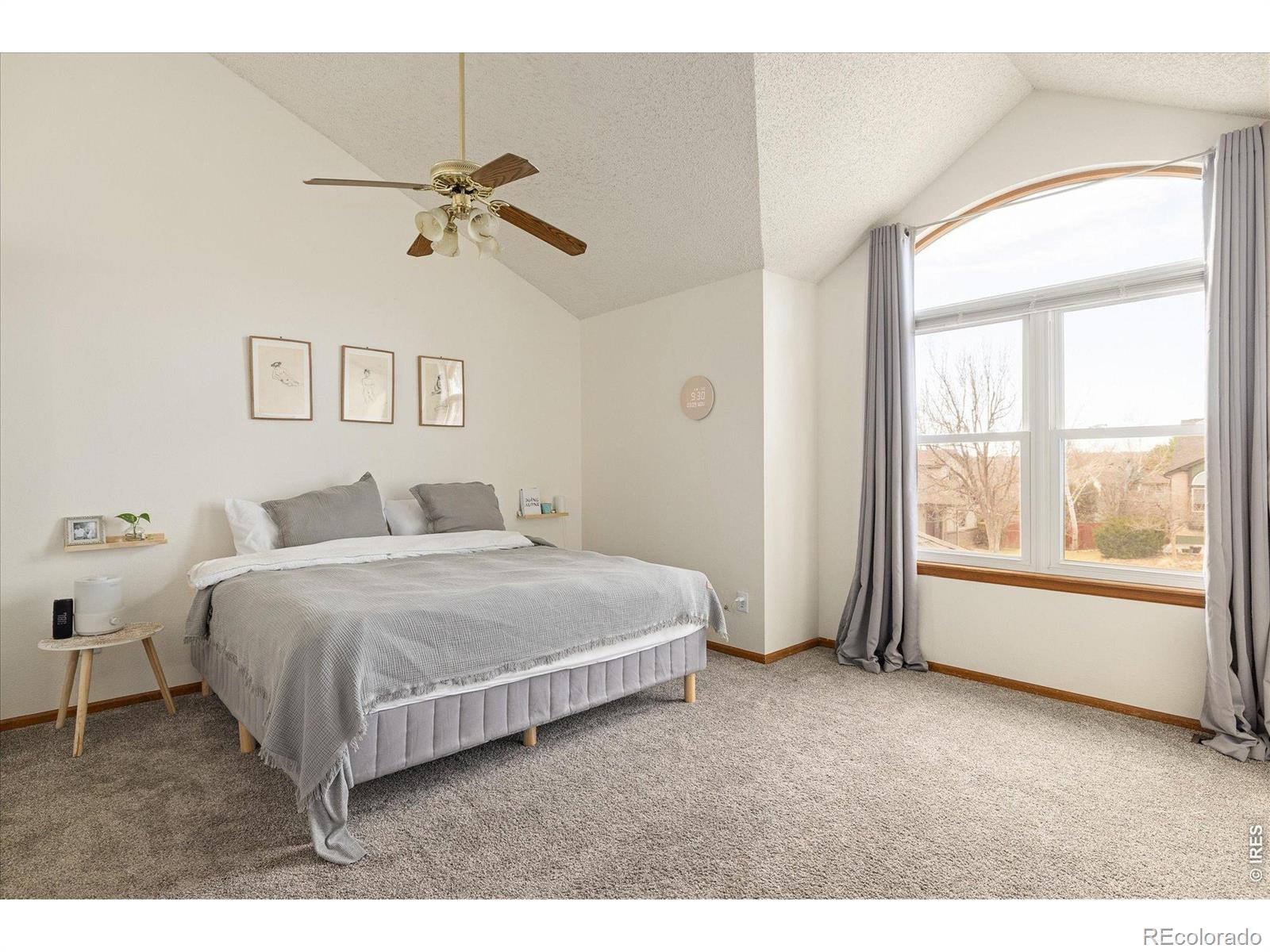 MLS Image #12 for 185  mesa court,louisville, Colorado
