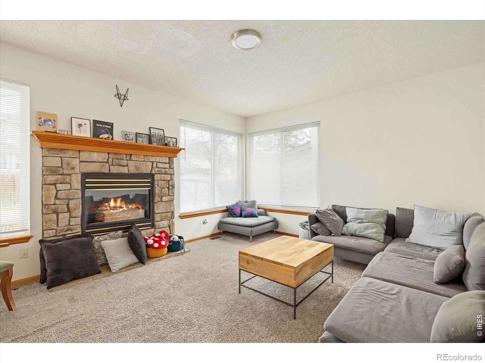 MLS Image #6 for 185  mesa court,louisville, Colorado