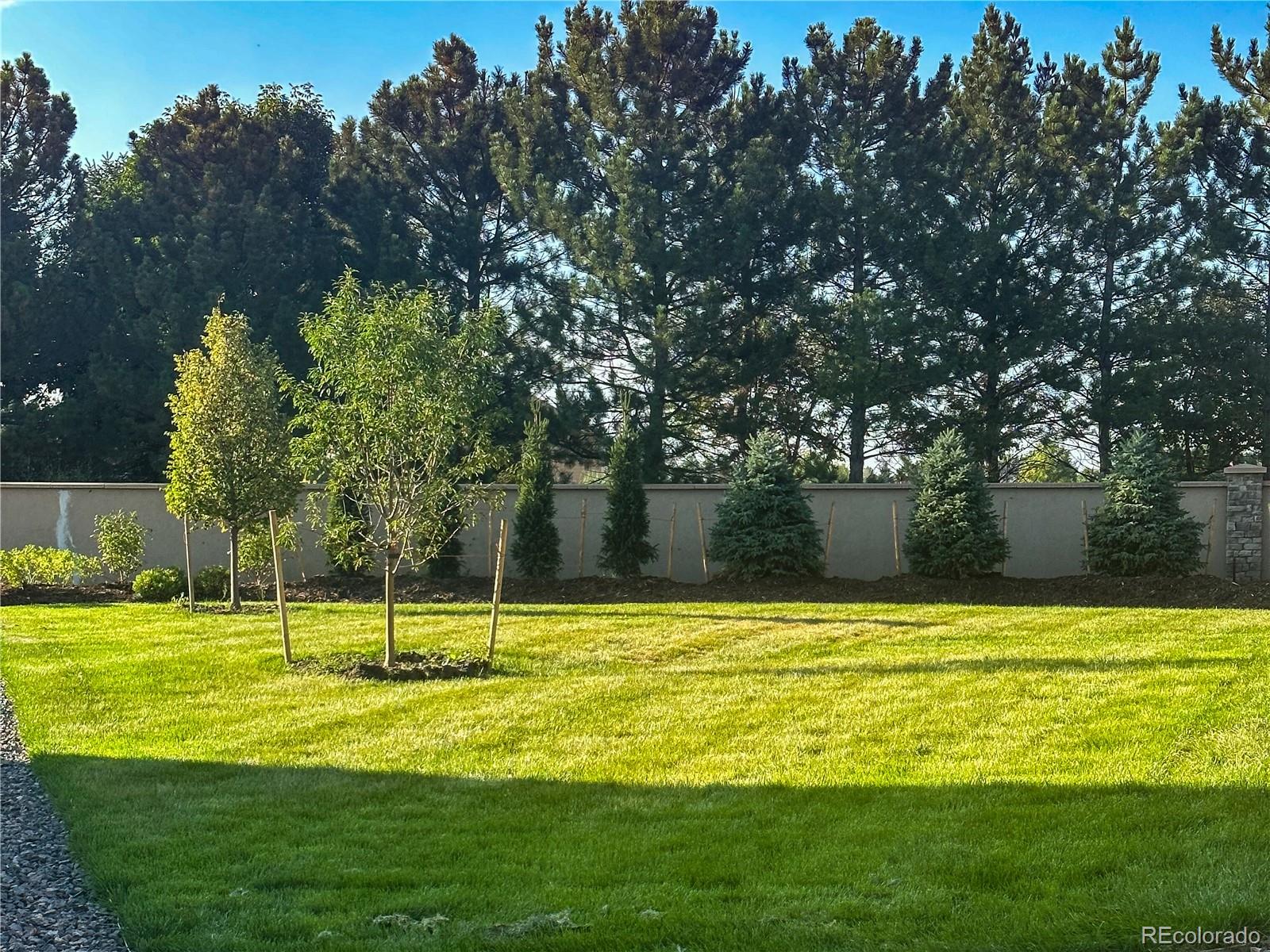 MLS Image #35 for 15919  xanthia way,thornton, Colorado