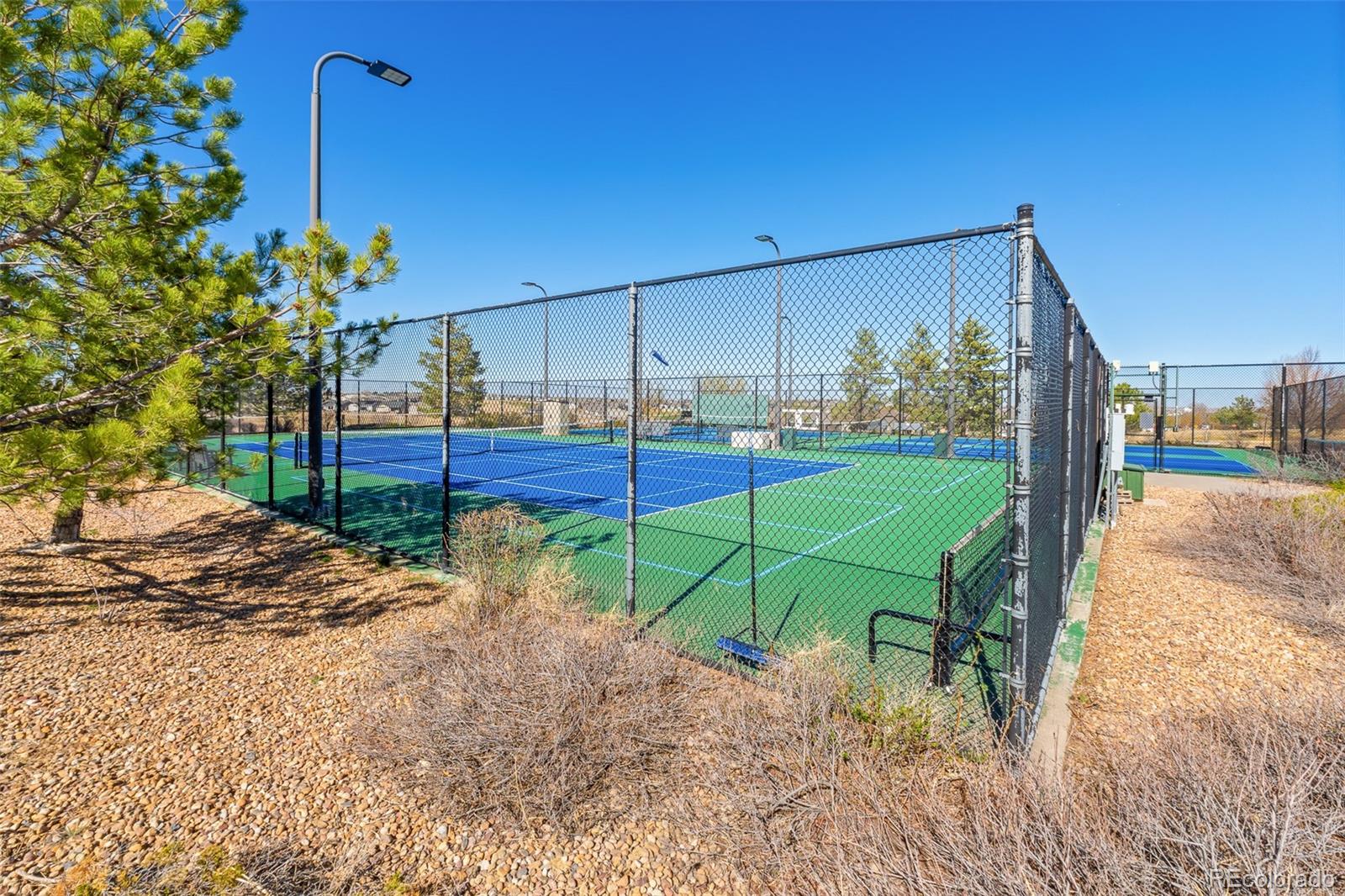 MLS Image #49 for 15919  xanthia way,thornton, Colorado