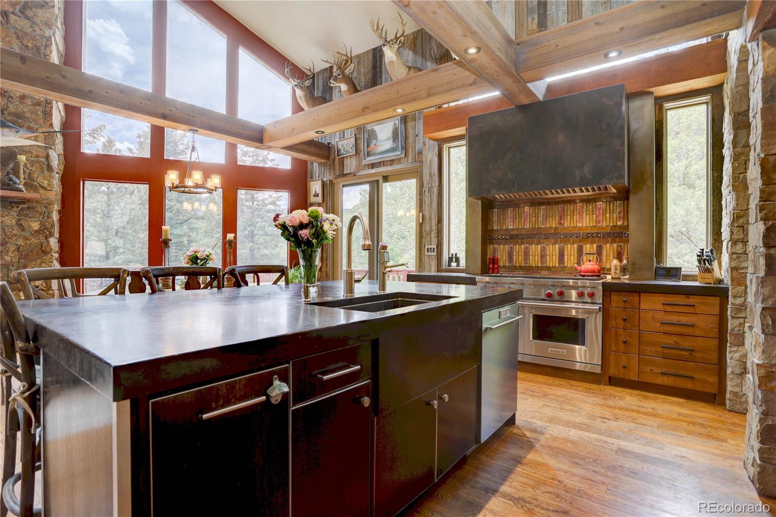MLS Image #11 for 15941 w sampson road,littleton, Colorado