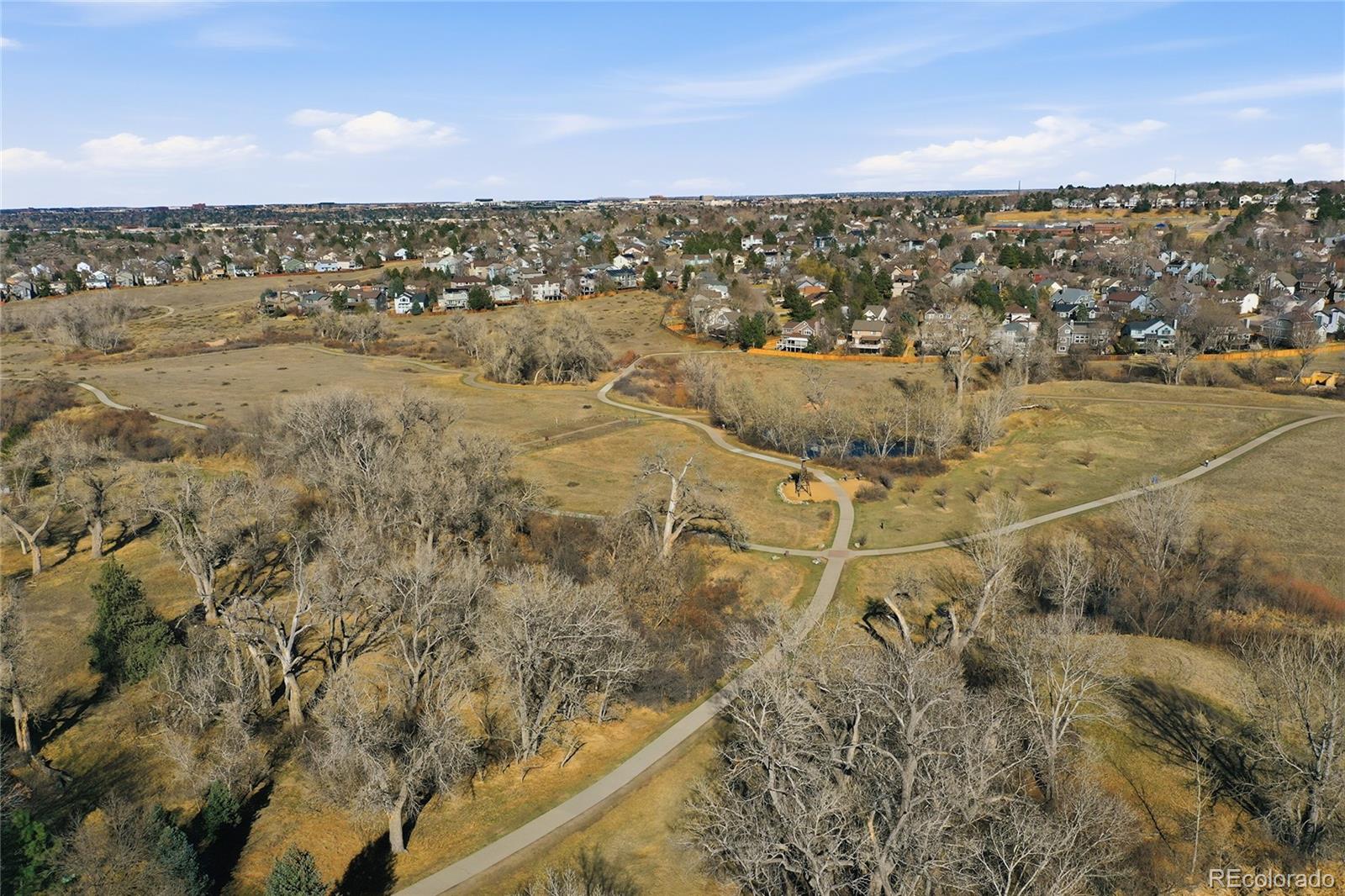 MLS Image #42 for 9264  madras court,highlands ranch, Colorado