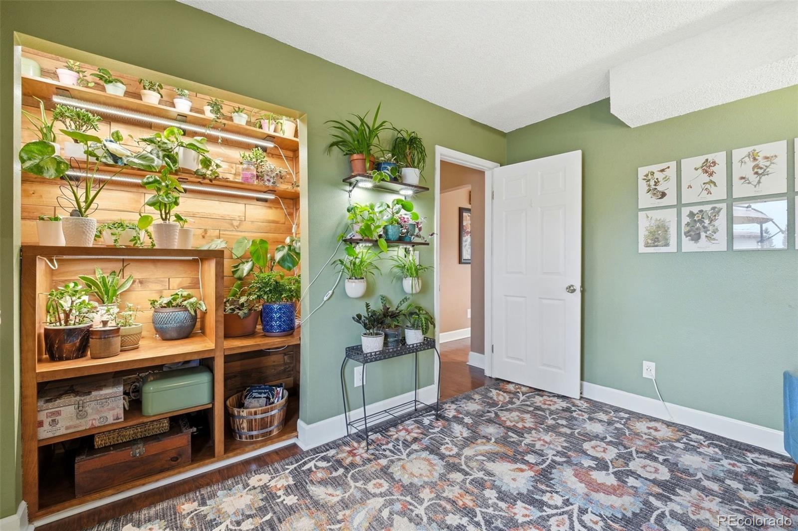 MLS Image #8 for 805  gigi street,castle rock, Colorado