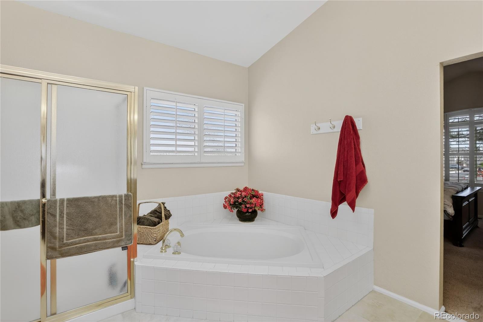 MLS Image #16 for 13380  milwaukee court,thornton, Colorado