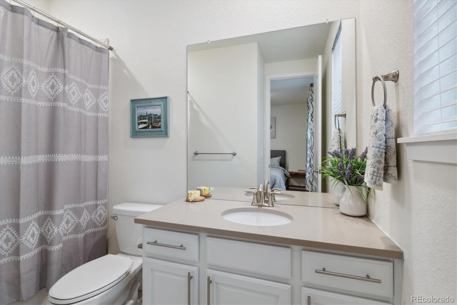 MLS Image #14 for 8107  arapahoe peak street,littleton, Colorado
