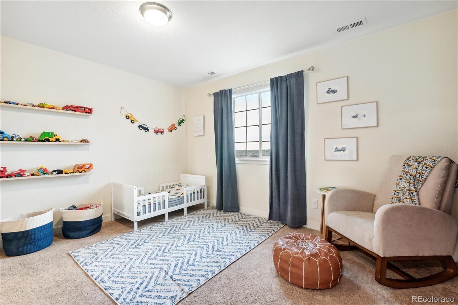 MLS Image #19 for 8107  arapahoe peak street,littleton, Colorado