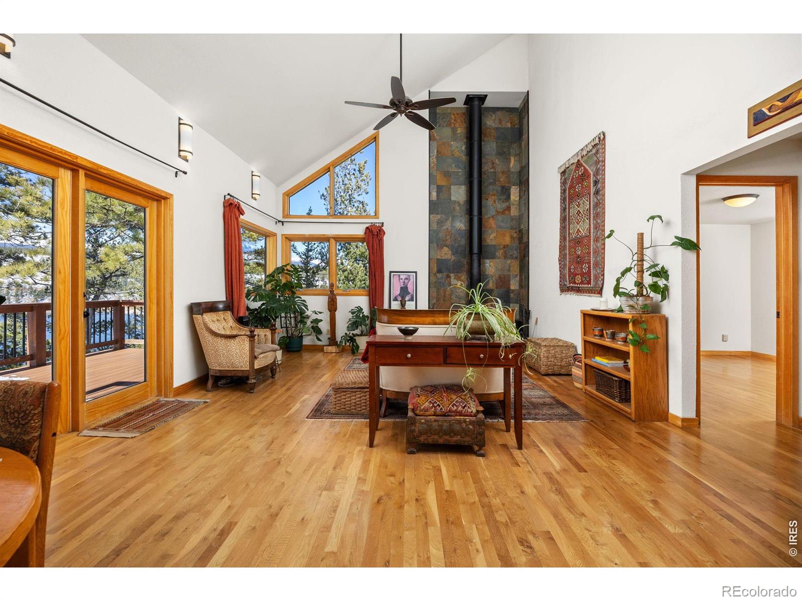 MLS Image #10 for 253  alpine drive,nederland, Colorado