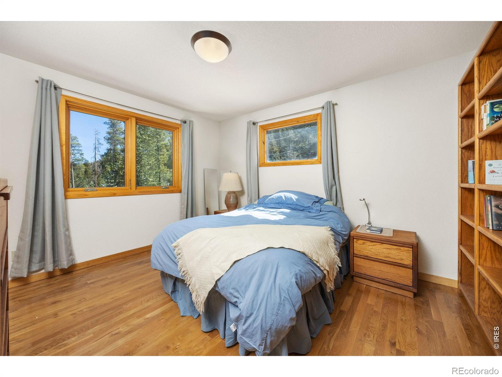 MLS Image #14 for 253  alpine drive,nederland, Colorado