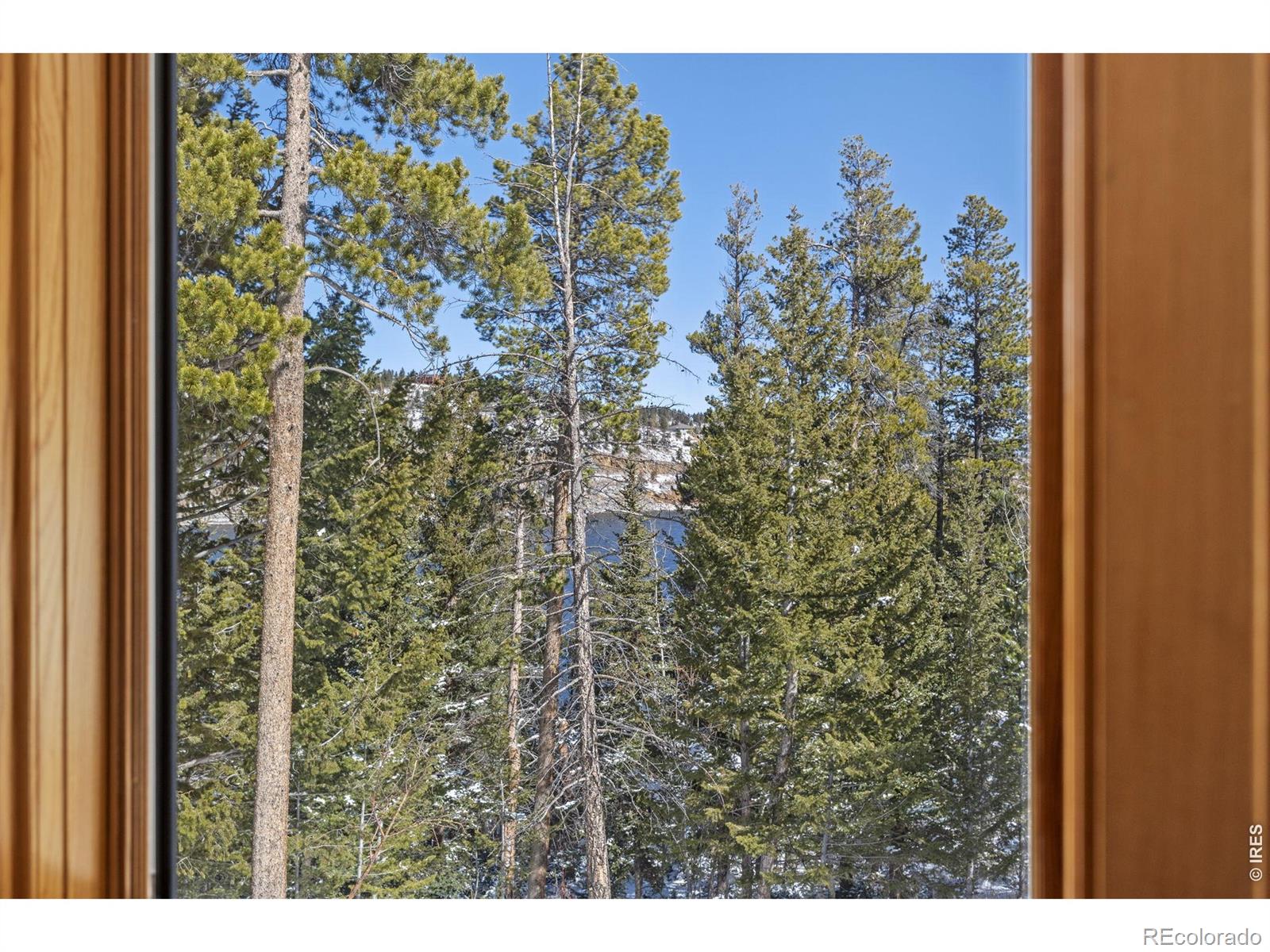 MLS Image #16 for 253  alpine drive,nederland, Colorado