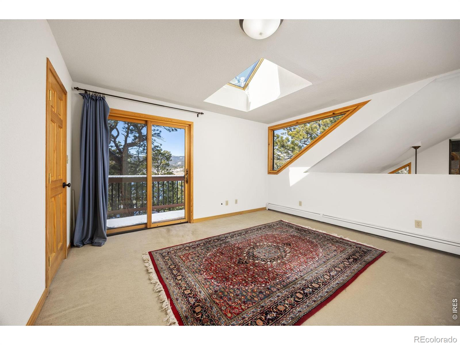 MLS Image #22 for 253  alpine drive,nederland, Colorado