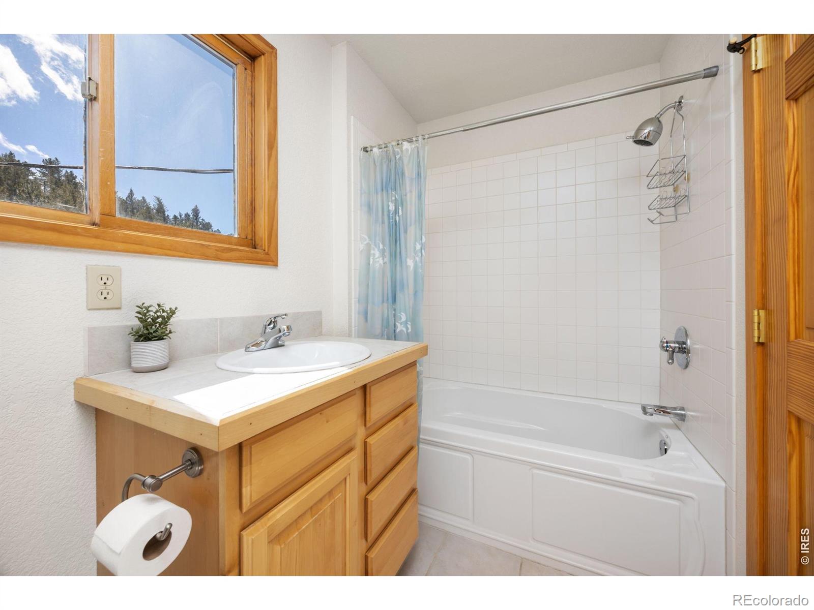 MLS Image #26 for 253  alpine drive,nederland, Colorado