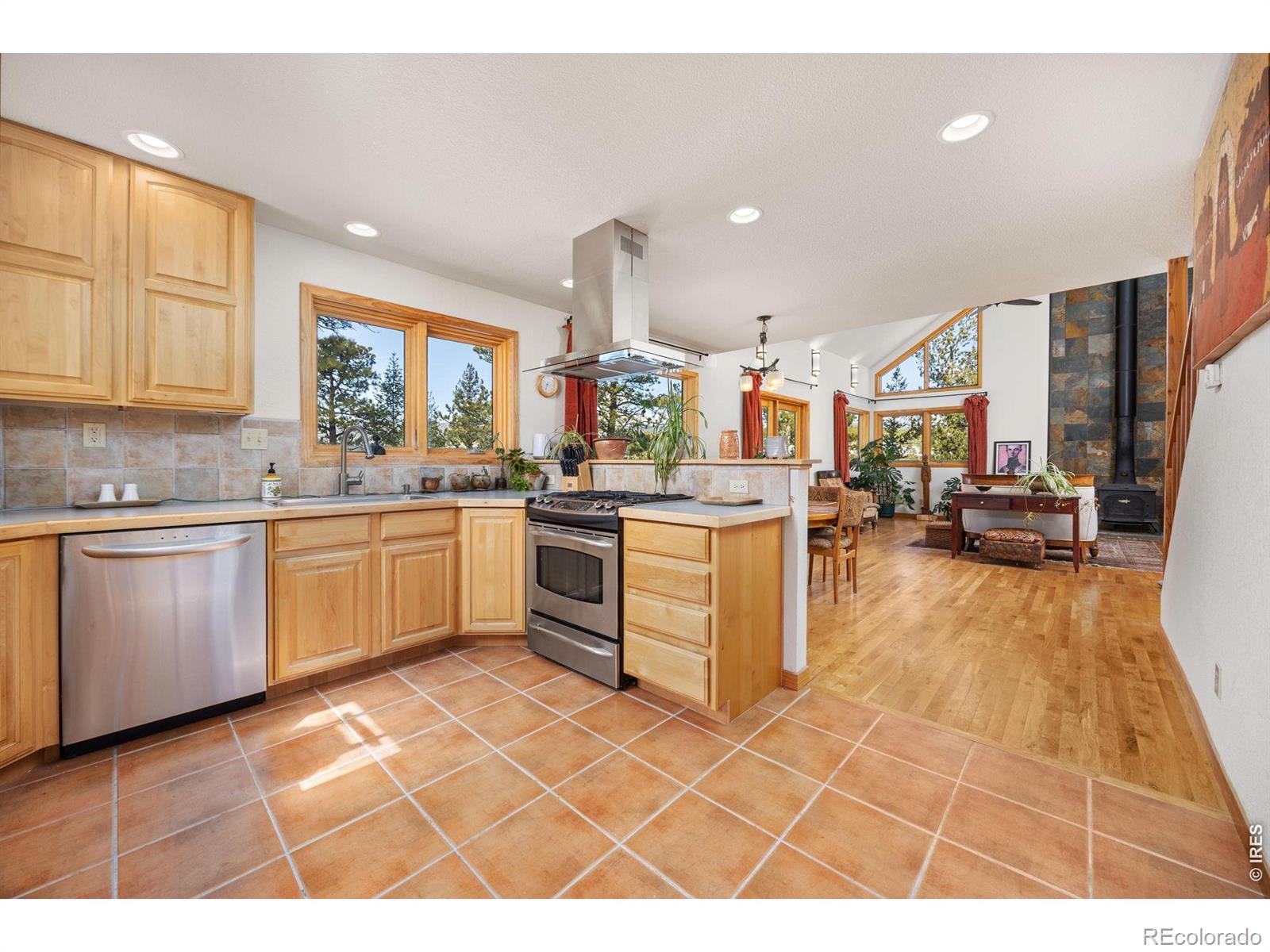 MLS Image #6 for 253  alpine drive,nederland, Colorado