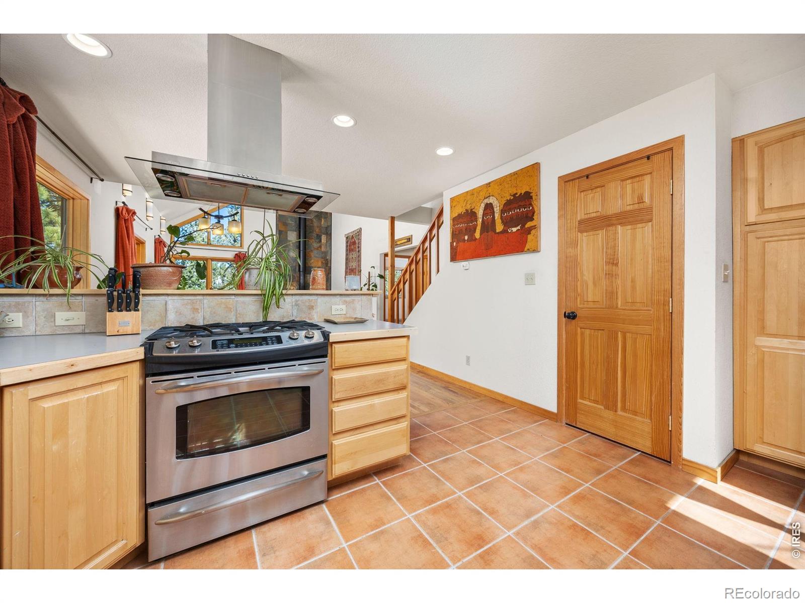 MLS Image #7 for 253  alpine drive,nederland, Colorado