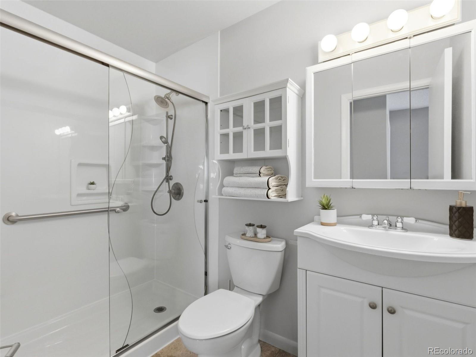 MLS Image #19 for 567 s flower street,lakewood, Colorado