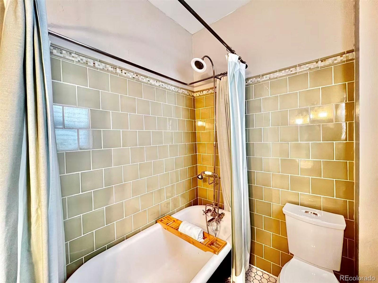 MLS Image #13 for 1217  gaylord street,denver, Colorado