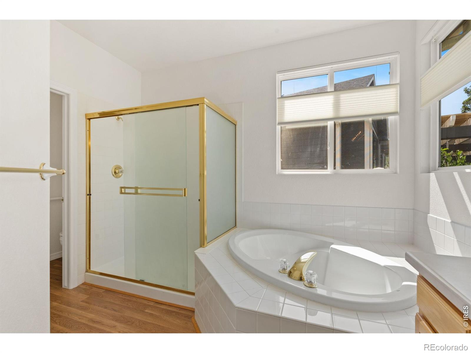 MLS Image #17 for 232  cattail bay court,windsor, Colorado