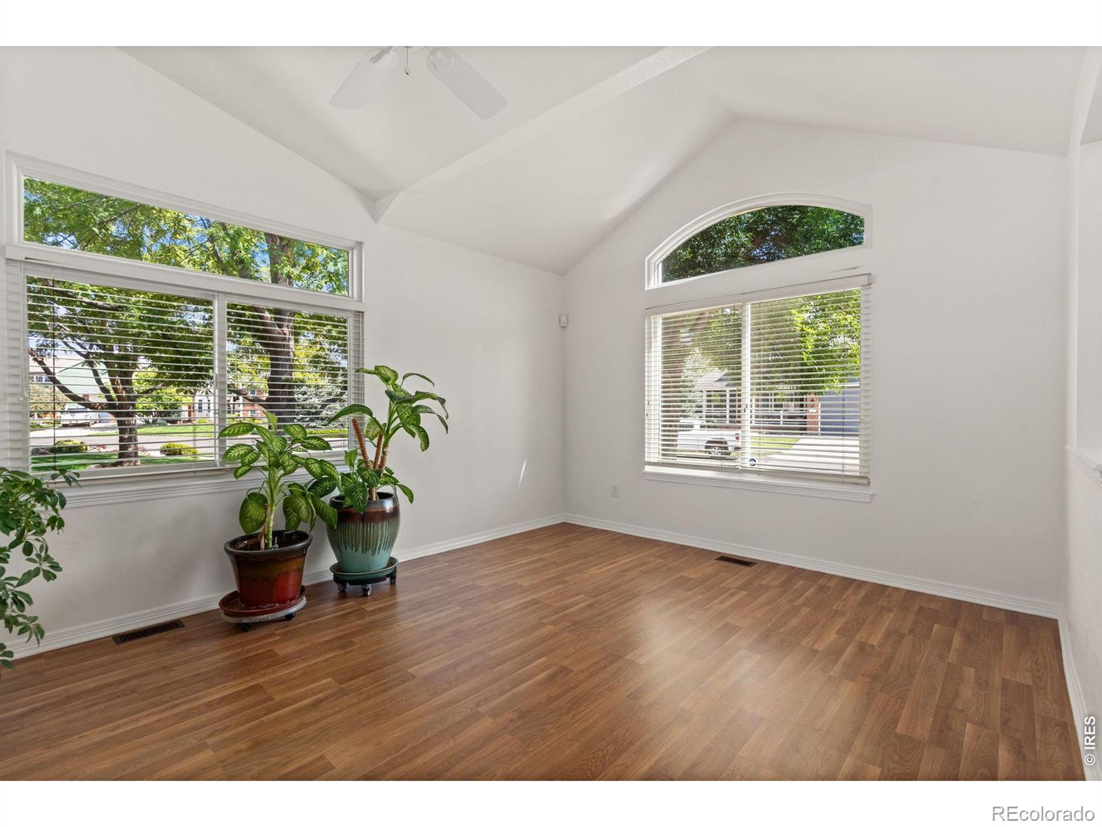 MLS Image #3 for 232  cattail bay court,windsor, Colorado