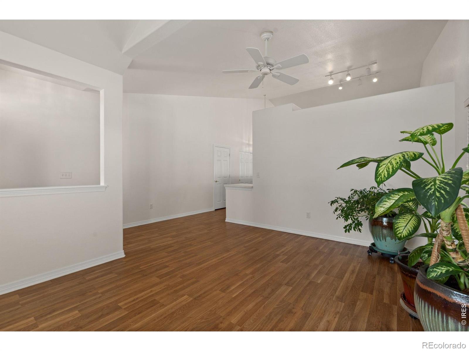 MLS Image #4 for 232  cattail bay court,windsor, Colorado
