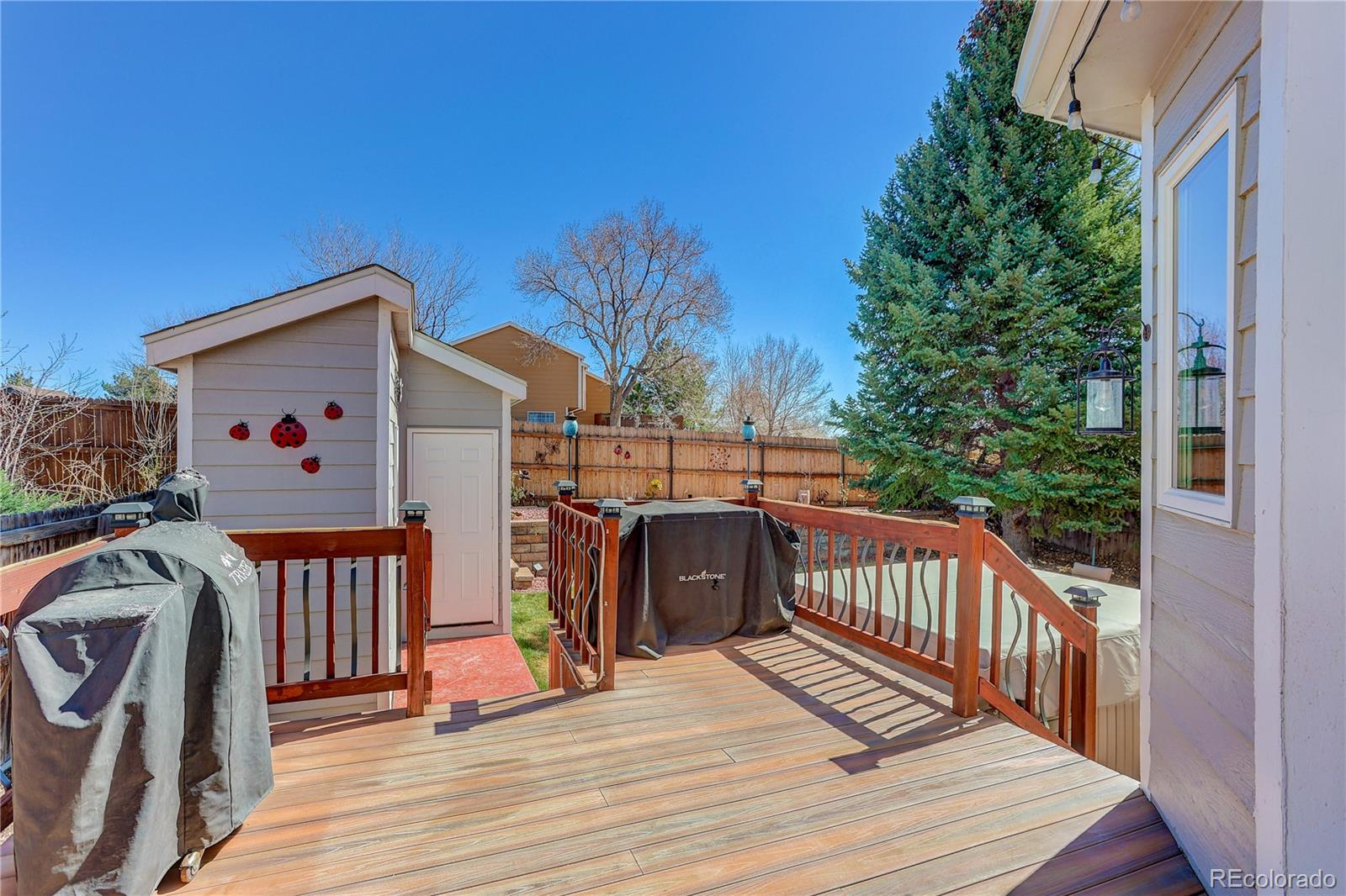 MLS Image #41 for 9908  hoyt way,broomfield, Colorado